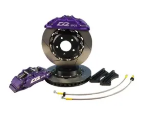 D2 Racing Big Brake Race Series 286mm Rotors 2 Piston Rear Kit